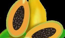 吃瓜头像素材下载免费版,轻松打造趣味表情包